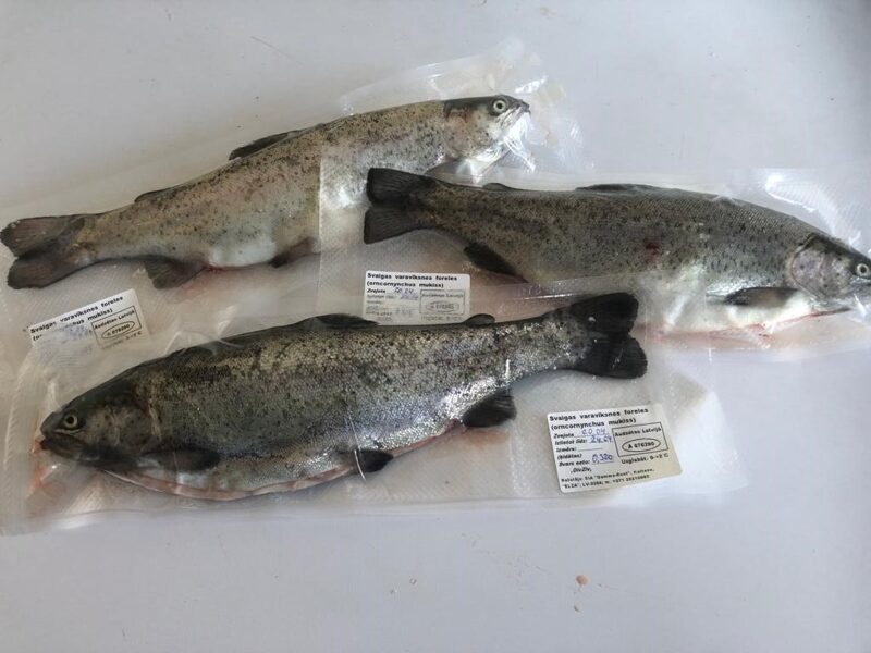 Fresh trout fillet (350-900 g, gutted, vacuum) EUR/kg €9.00